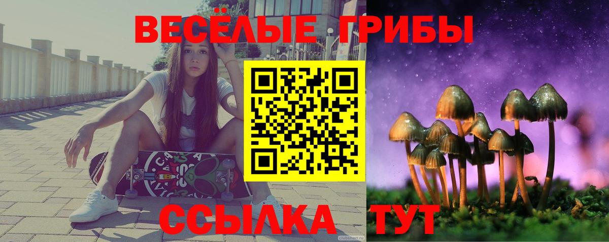 Тихорецк  Псилоцибиновые грибы ЛСД  цены   Вход с VPN 