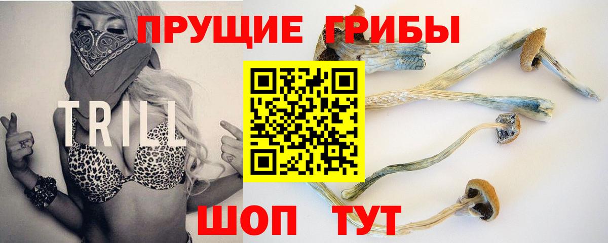 Галлюциногенные грибы прущие грибы Тихорецк